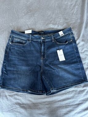 Judy Blue Size 3XL Jean shorts